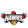 Illawarra Hawks Waratah