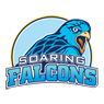 ADU Falcons